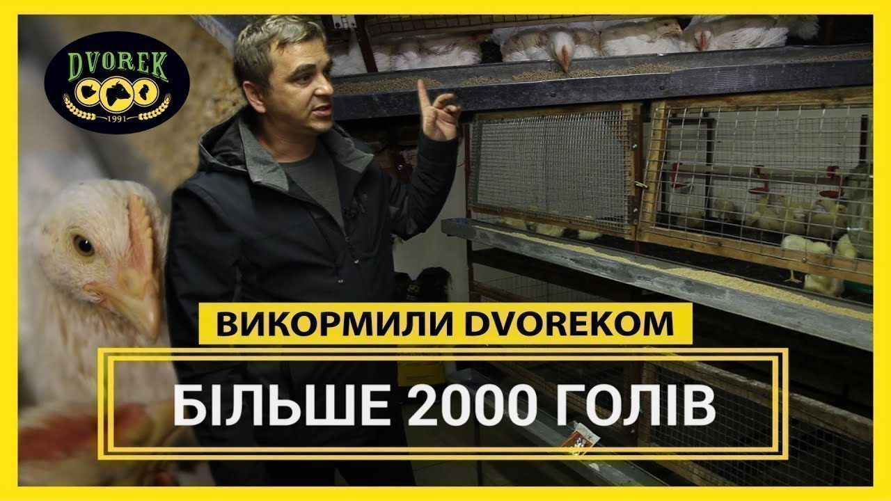 Бізнес на бройлерах