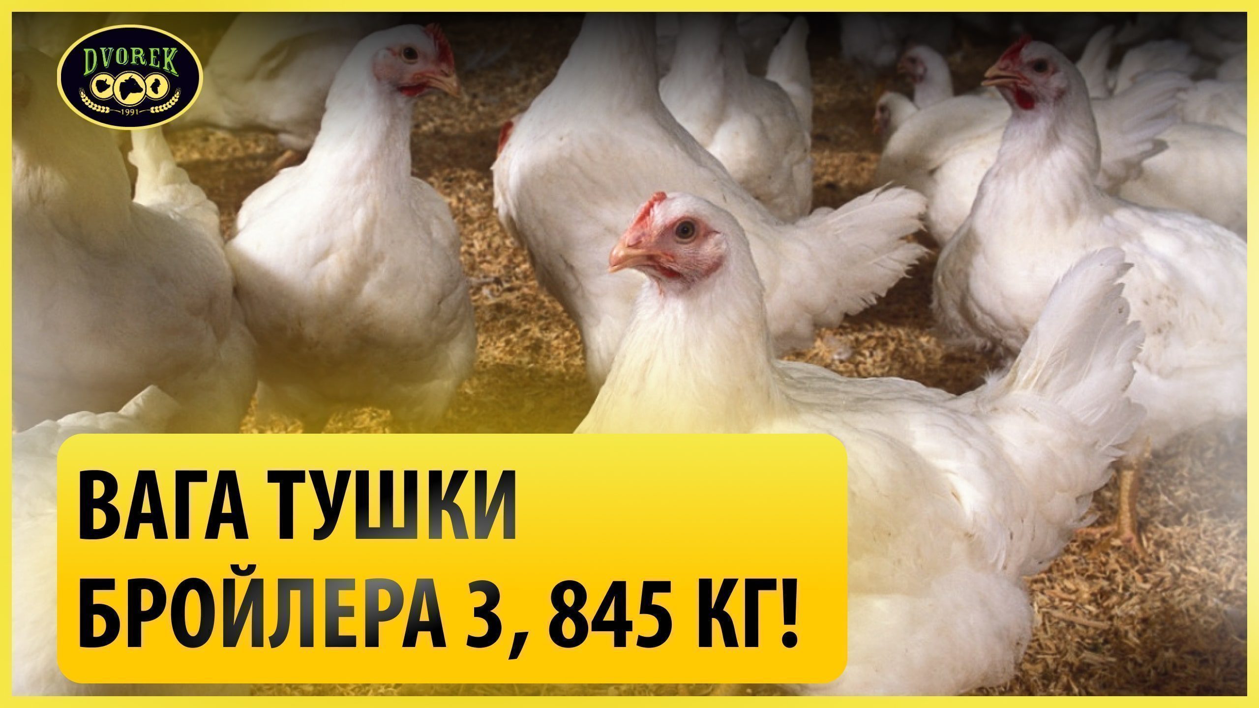 Вага тушки бройлера 3,845г!