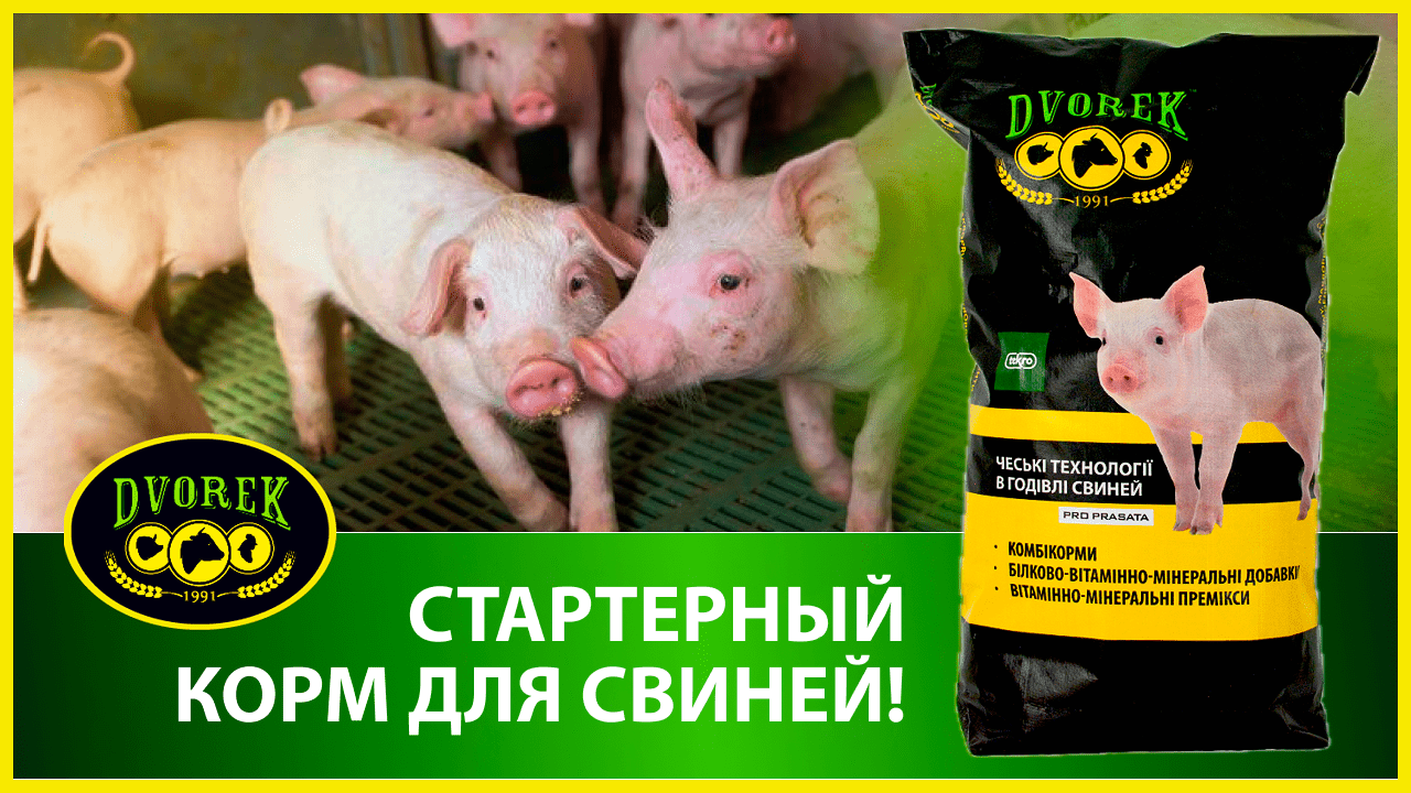 Стартерный корм для свиней!