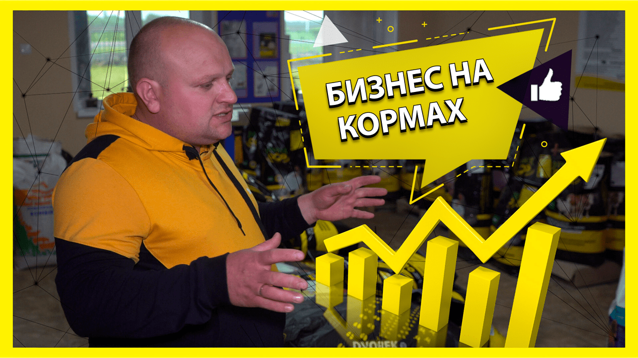 Бизнес на кормах