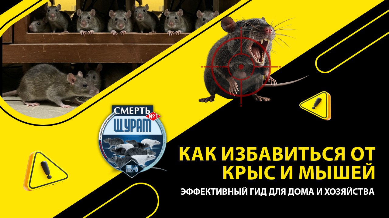 Как избавиться от крыс и мышей: эффективный гид для дома и хозяйства