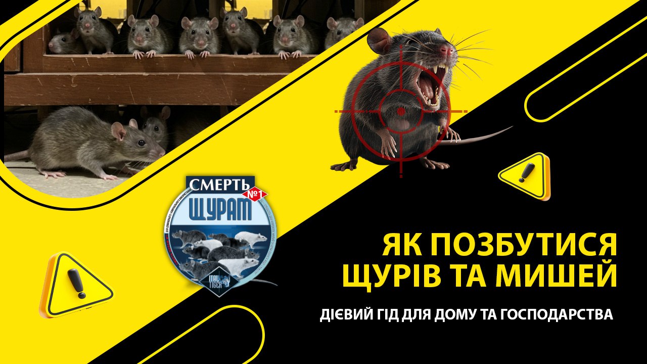 Як позбутися щурів та мишей: дієвий гід для дому та господарства