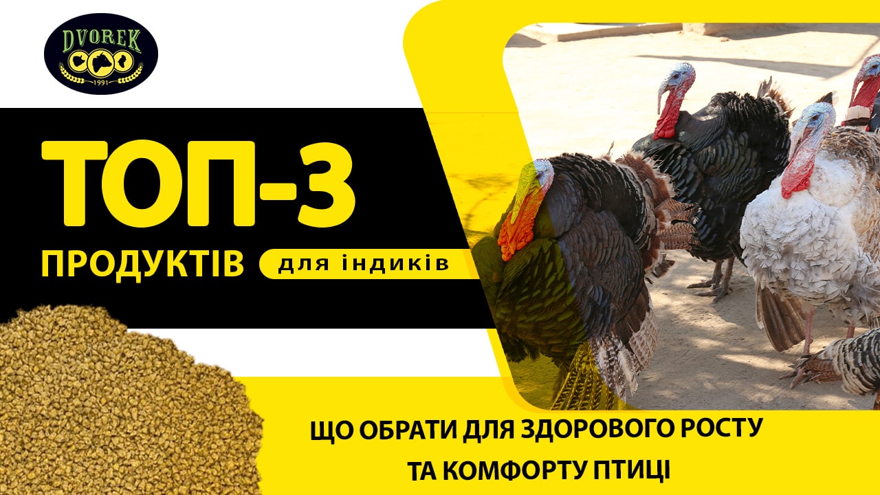ТОП-3 продуктів для індиків: що обрати для здорового росту та комфорту птиці